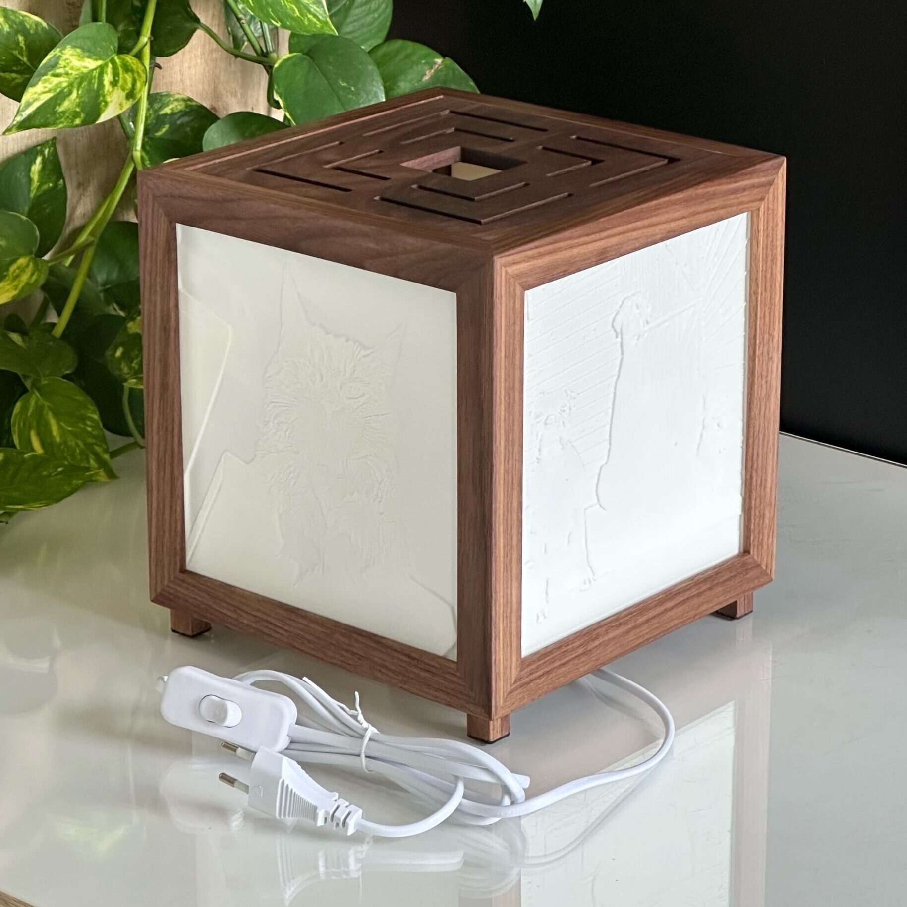 Lučka lepih spominov - slika 11